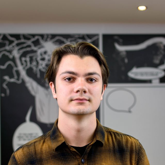 PETAR MILISAVLJEVIĆ